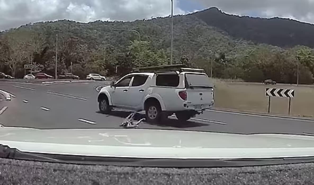 Пёс неожиданно покинул салон несущегося автомобиля и попал на видео в Австралии