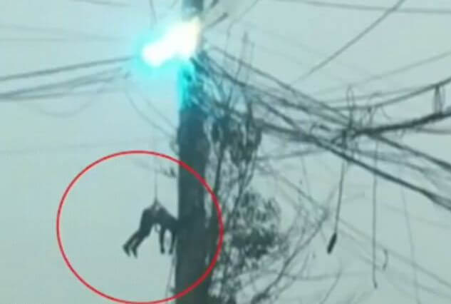 Китайский электрик чудом выжил, получив мощнейший разряд электрического тока. (Видео)