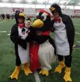 В университете Огайо установили мировой рекорд по количеству людей, одетых в костюмы пингвинов. (Видео) 3