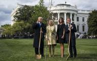 Дерево, посаженное Трампом и Макроном, исчезло с лужайки Белого дома 4