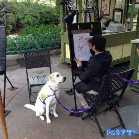 26-летняя американка по имени Кэти сфотографировала забавную картину, как терпеливый пёс по кличке Яху (Yahoo) занял неподвижное положение и позировал художнику в тематическом парке, в Калифорнии.