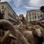 Сотни овец, следуя 800-летней традиции промаршировали по улицам Мадрида. (Видео) 1