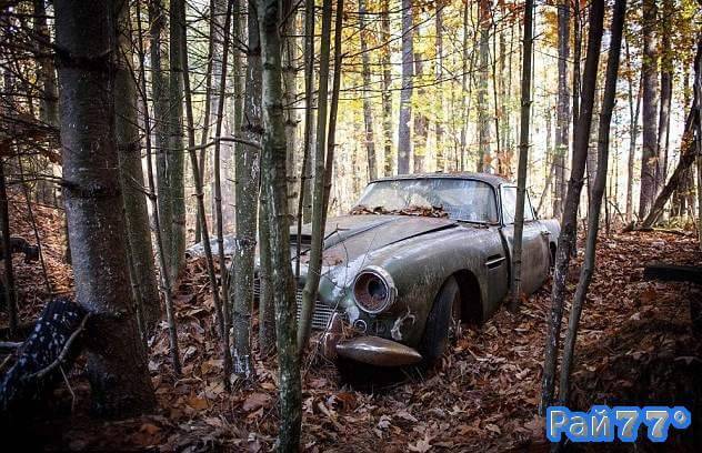 Недавно в чаще леса, в штате Массачусетс случайно был найден остов редчайшего автомобиля Aston Martin DB4, сделанного в 1958 году.