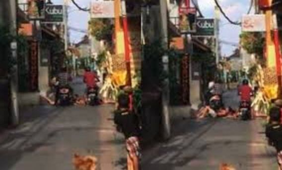 Мотоциклист не стал объезжать перегородивших дорогу пьяных британских туристов на Бали. (Видео)