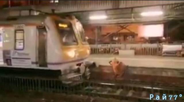 Драматические кадры «путешествия» женщины по ж/д путям на станции Чарни-роуд, в городе Мумбаи снял очевидец происшествия.