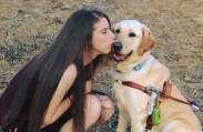 Собака - поводырь, которая не может пройти мимо любимого зоомагазина, стала знаменитой в интернете (Видео) 2