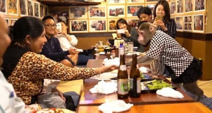 Необычные официанты обслуживают клиентов в японском ресторане. (Видео)