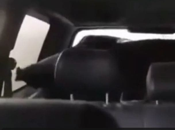 Кабан воскрес на заднем сиденье автомобиля и перепугал литовских охотников (Видео)