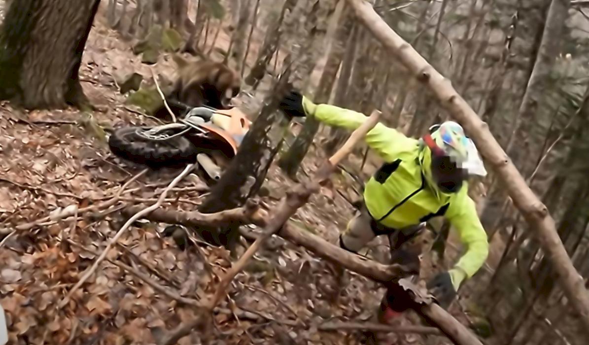 Медведь чуть не отобрал мотоцикл у экстремала в болгарском лесу