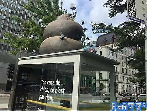 Пластиковая скульптура в виде собачьих экскрементов, установленная на крыше остановки, вызвала волну неодобрения со стороны жителей Монреаля