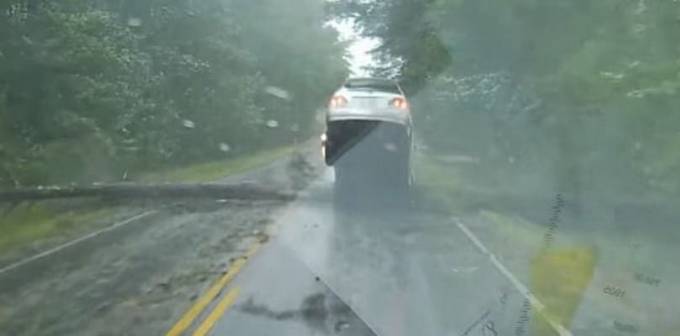 Автомобиль не успел проехать под падающим деревом в США (Видео)