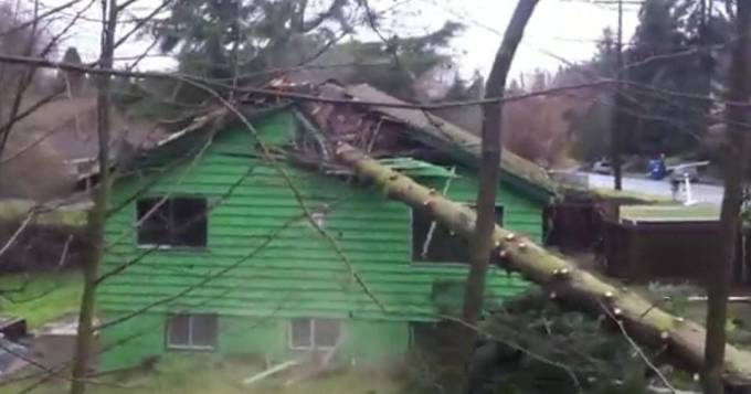 Два американских «дровосека» срубили дерево и разрушили своё жилище. (Видео)