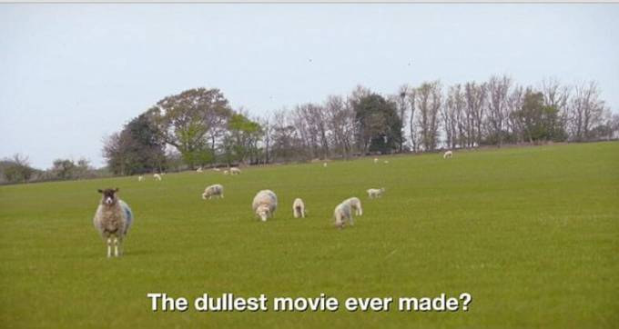 Самый скучный в мире фильм «Baa Baa Land» (Земля Баа Баа) сняли в Британии. (Видео)