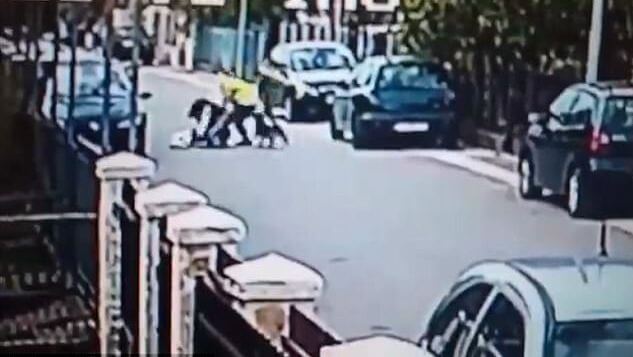 Храбрый пёс отбил атаку грабителя на женщину в Черногории (Видео)