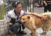 Преданный пёс, по 12 часов дожидающийся своего хозяина на вокзале, стал национальным героем в Китае 0