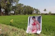 Индийский фермер увеличил свой урожай «нетрадиционным» способом 0