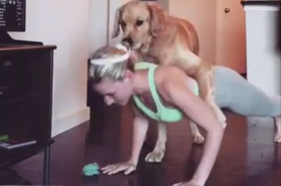Собака проявила «заботу» и помогла своей хозяйке выполнить физические упражнения в США. (Видео)