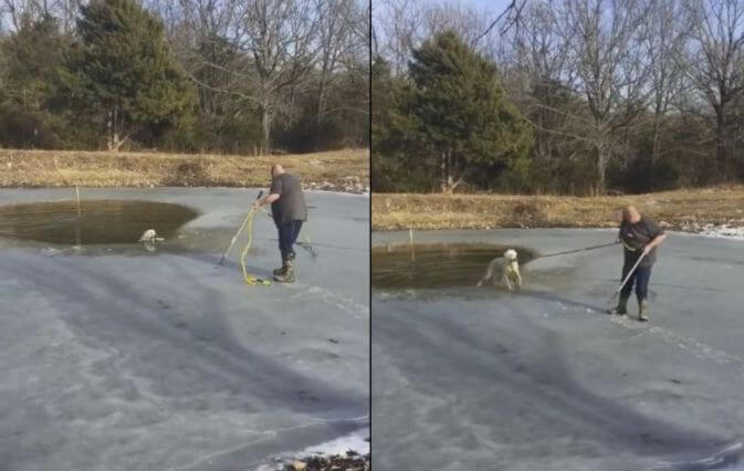 Пастор спас провалившуюся под лёд собаку в США. (Видео)