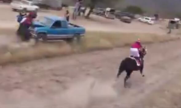Скаковая лошадь не заметила автомобиль во время забега. (Видео)