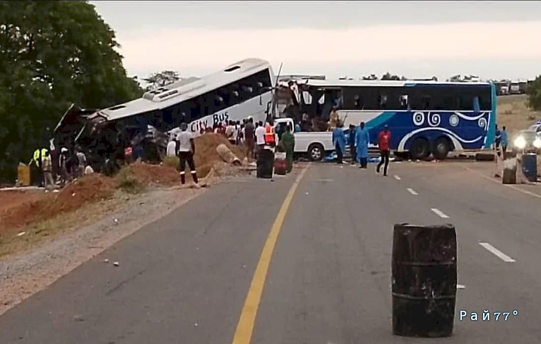 Осёл стал причиной сокрушительного столкновения двух автобусов в Зимбабве