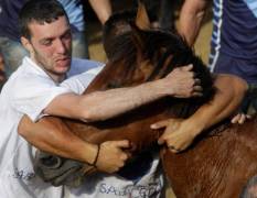 Тысячи испанцев приняли участие в массовой «объездке» диких лошадей в Галисии. (Видео) 26