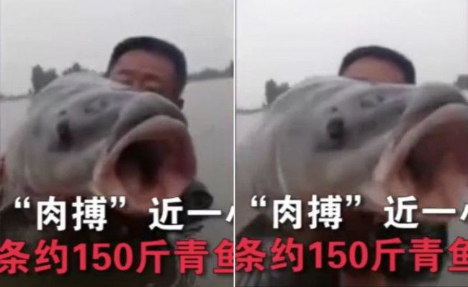 Рыбак, сделавший селфи с гигантской рыбиной на плече, шокировал китайские соцсети (Видео)