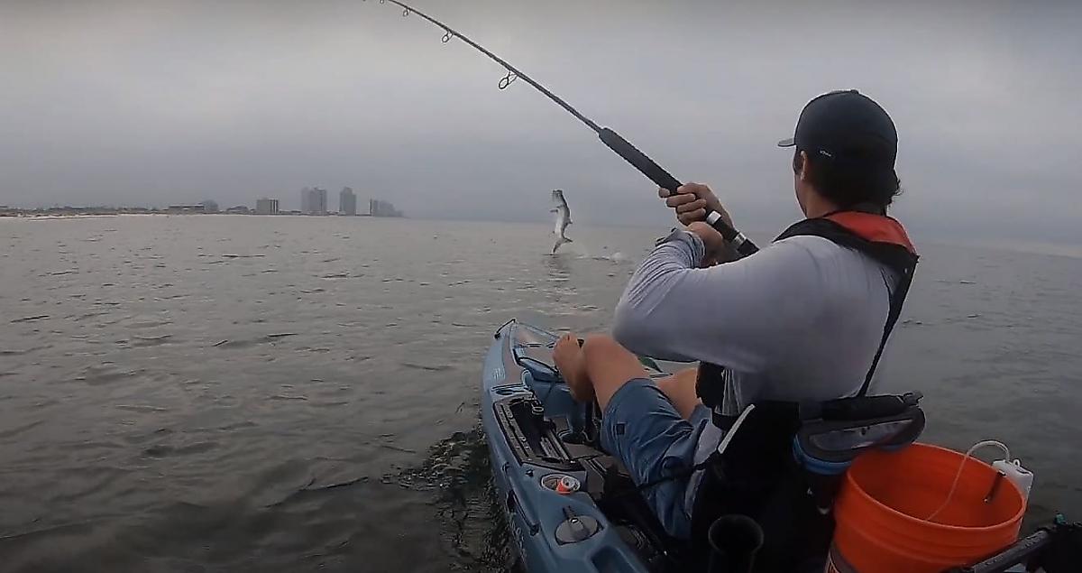 Массивный тарпон взял на буксир каяк с рыбаком, поймавшим его на удочку - видео