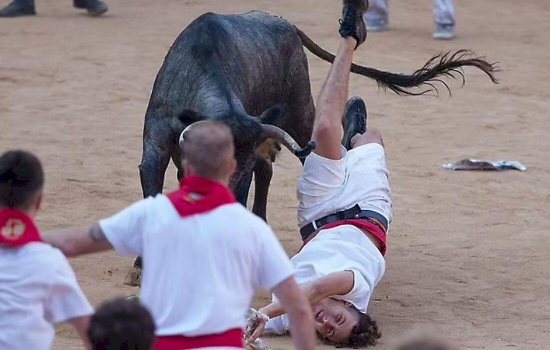 Экстремалы продолжили видеосъёмки, угодив под копыта быков во время испанского фестиваля