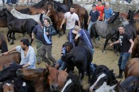 Тысячи испанцев приняли участие в массовой «объездке» диких лошадей в Галисии. (Видео) 30