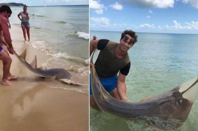 Австралийский рыбак на удочку поймал акулу - лопату. (Видео)