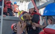 Две женщины с двумя собаками, в течении пяти месяцев дрейфовавшие на неисправном судне в океане, были спасены возле острова Гуам (Видео) 0
