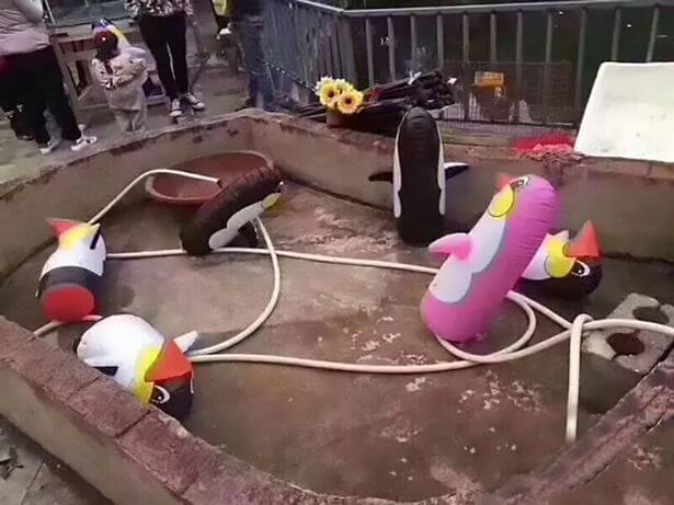 Китайский зоопарк привлёк внимание посетителей... надувными пингвинами. (Видео)