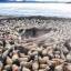 3000 овец под охраной пастухов совершили миграцию по льду самого высокогорного озера в Тибете. 5
