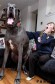 Собака весом 98 килограммов признана самой большой в Британии. (Видео) 1