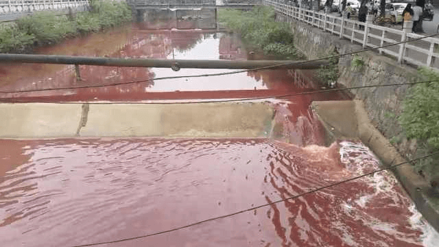 Кровавая река испугала жителей китайского города. (Видео)