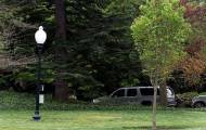 Дерево, посаженное Трампом и Макроном, исчезло с лужайки Белого дома 2