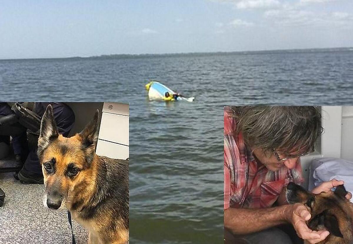 Пёс, 11 часов находившийся в заливе, вывел на след своего хозяина, потерпевшего кораблекрушение в Австралии