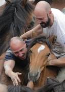 Тысячи испанцев приняли участие в массовой «объездке» диких лошадей в Галисии. (Видео) 3