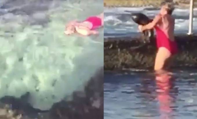 Пожилая австралийка поймала и перекинула через барьер, мешавшую ей купаться акулу. (Видео)