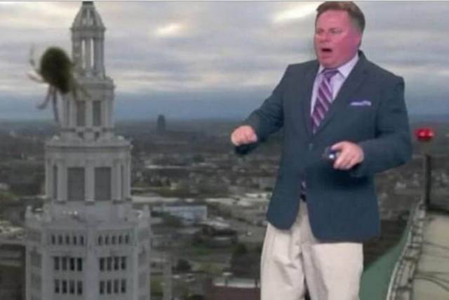Патрик Хаммер во время прямого эфира прогноза погоды на канале WGRZ в Нью - Йорке вызвал смех у теле аудитории, испугавшись паука, попавшего на камеру.