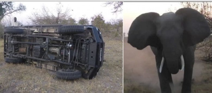 Разъярённый слон перевернул машину с туристами в заповеднике Ботсваны (Видео)