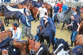 Тысячи испанцев приняли участие в массовой «объездке» диких лошадей в Галисии. (Видео) 17