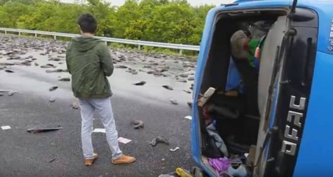 Грузовик с живой рыбой перевернулся на автотрассе в Китае (Видео)