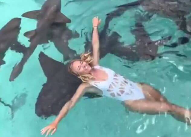 Бесстрашная туристка поплавала с акулами на Багамах (Видео)