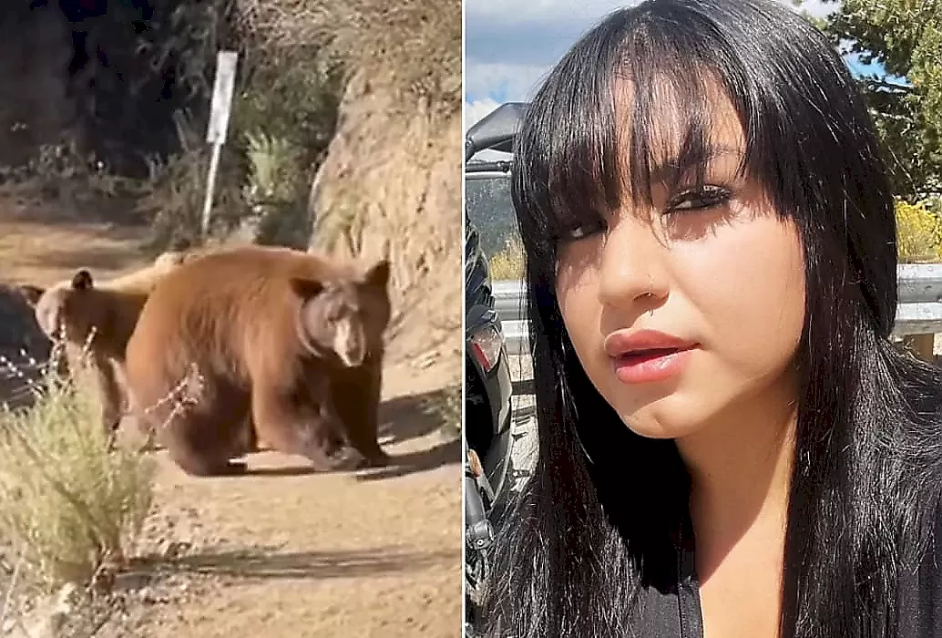 Медведица, защищая детёныша, преградила путь бегунье: видео