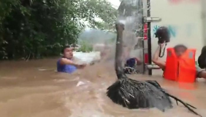 Страус напугал полицейских на затопленной улице в Китае (Видео)