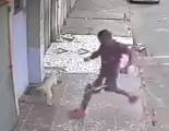 Бродячий пёс «пометил» своего будущего хозяина, сидящего на бордюре в Бразилии (Видео) 0