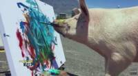Свинья, спасённая от бойни, стала знаменитой художницей. (Видео) 3