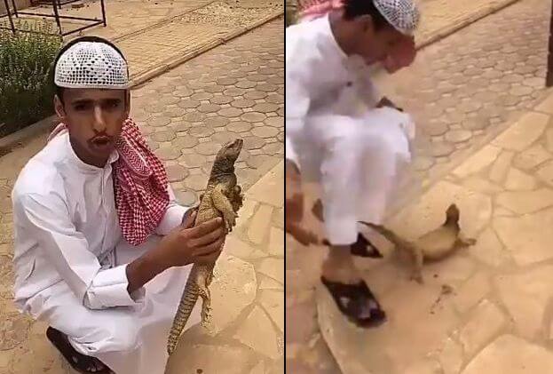 «Мёртвая» ящерица напугала араба (Видео)
