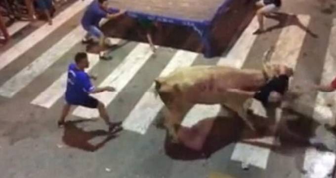 Два испанца получили «неизгладимые» впечатления после встречи с быками на фестивале в Испании. (Видео)